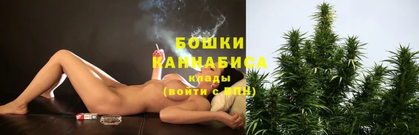 индика Чекалин